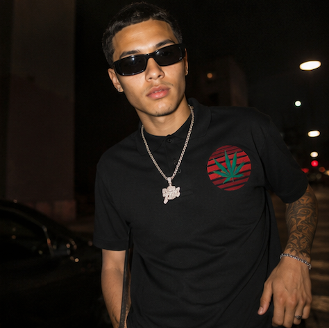 Ganja Leaf Polo | HIGHENDNJ